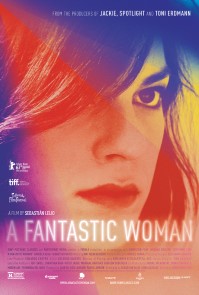 A Fantastic Woman {2017} poster image