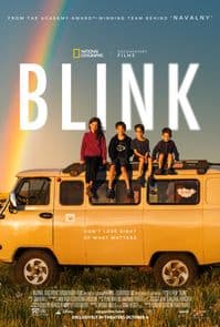 Blink poster image