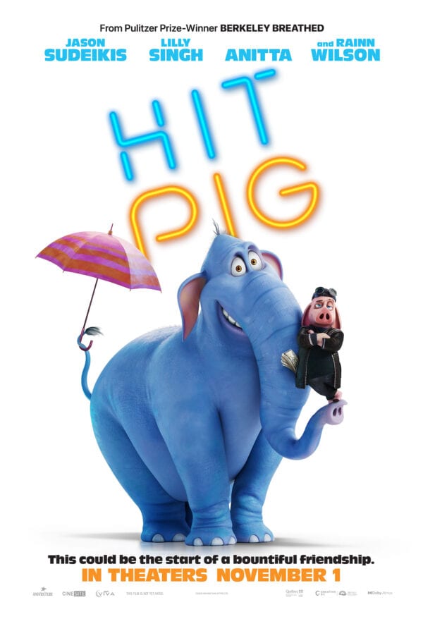 Hitpig poster image