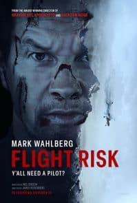 Flight Risk poster image